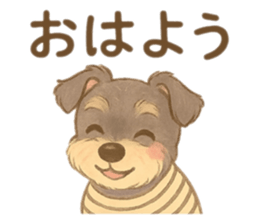 788768063