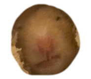788770883