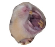 788770886