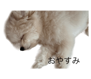788772396
