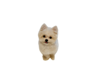 788772407