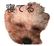 788776153