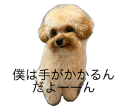 788776157