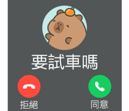788824294