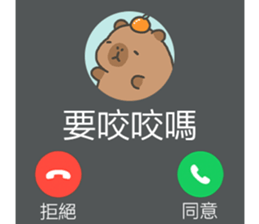 788824303
