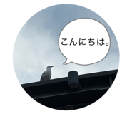 788826616