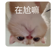 788835700
