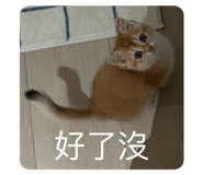 788835703