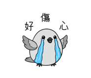 788836568