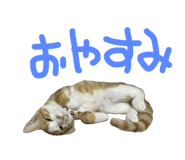 788836660