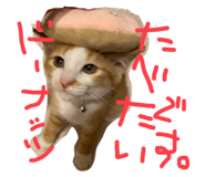 788836662