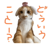 788836665
