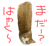 788836667