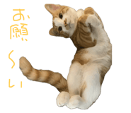 788836668