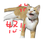 788836669