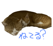 788836672