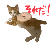 788836673