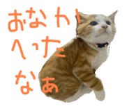 788836674