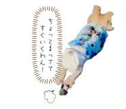 788839997