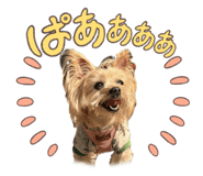 788840007