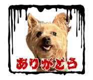 788840008