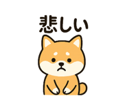 788845496