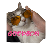 788854599
