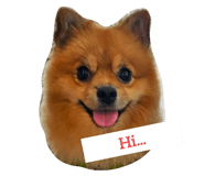 788870685