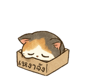 788871633