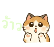 788871639