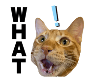 788880833