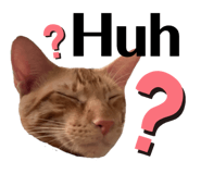 788880840