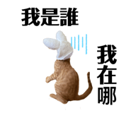 788880842