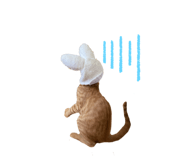 788880844
