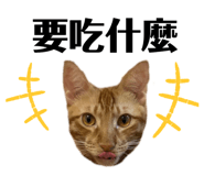 788880857