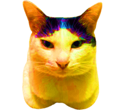 788882984