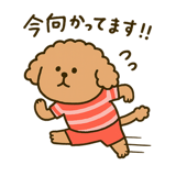 788883681
