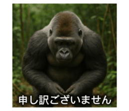 788894871