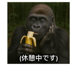788894884