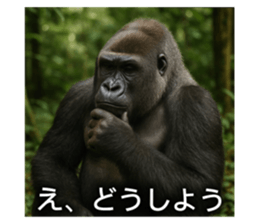 788894885