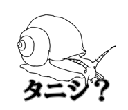 788906312