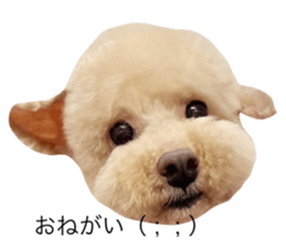 788915285