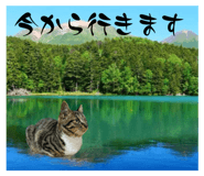 788940784