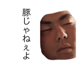 788950186