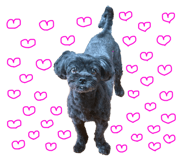 788962041