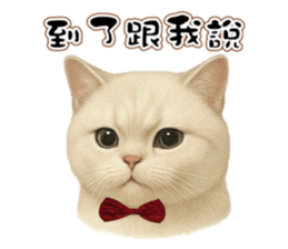 788981295