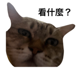 789012537