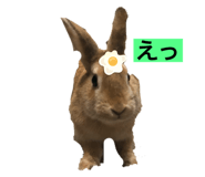 789019777