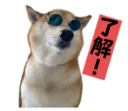 789080300