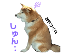 789080302